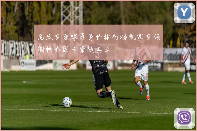 厄瓜多尔球员身价排行榜凯塞多领衔帕乔因卡紧随其后